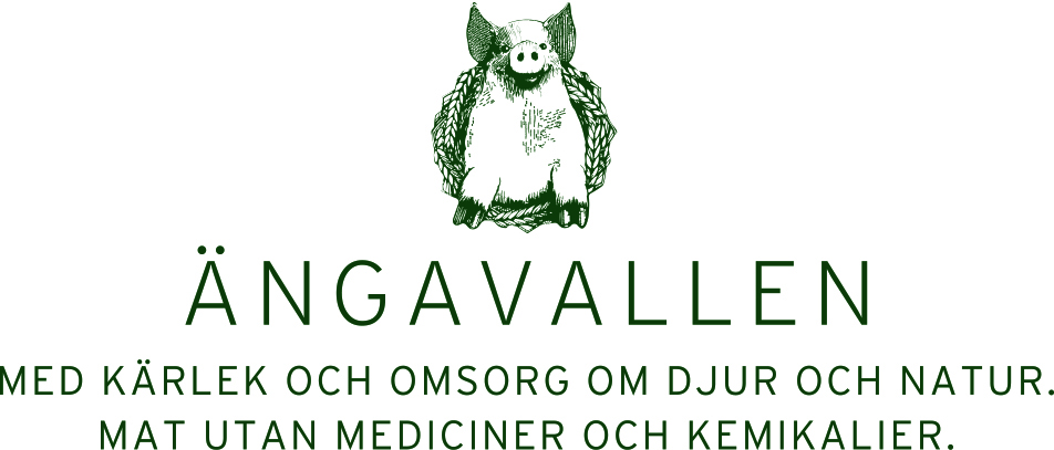 Ängavallen Logo